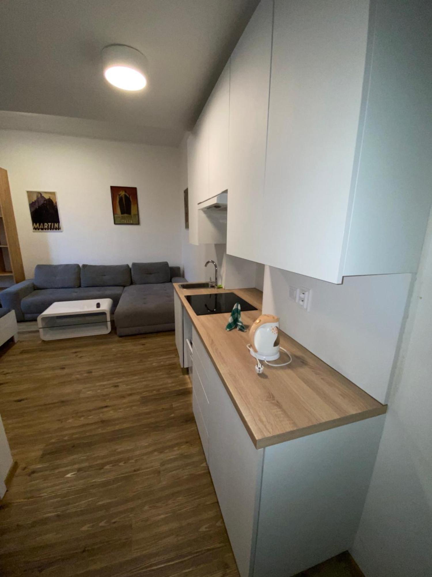 Garsoniera Ostrava City Centr, Na Hradbach 118 Екстер'єр фото